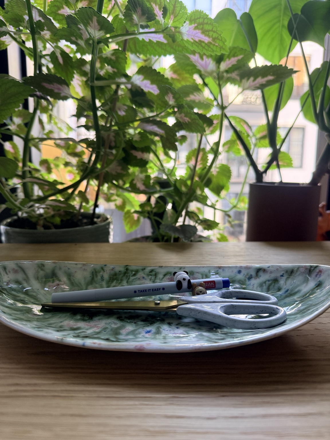 Tallerken ved grønne planter